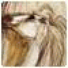 spin-Anocuts's picture